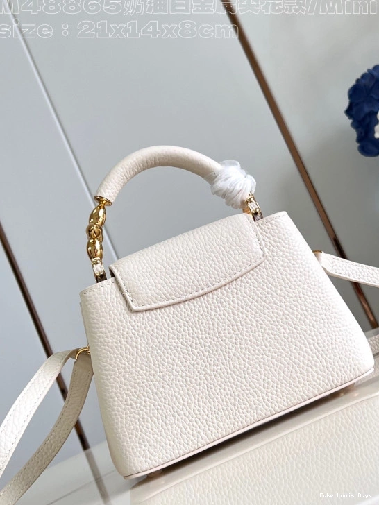 Fake Louis Bags CAPUCINES MINI-21*14*8CM VUITTON LOUIS 0708